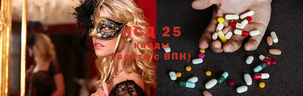 MESCALINE Аркадак