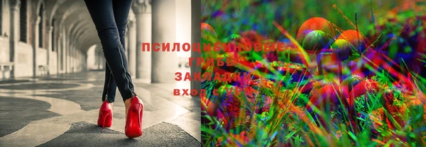 крисы Арсеньев